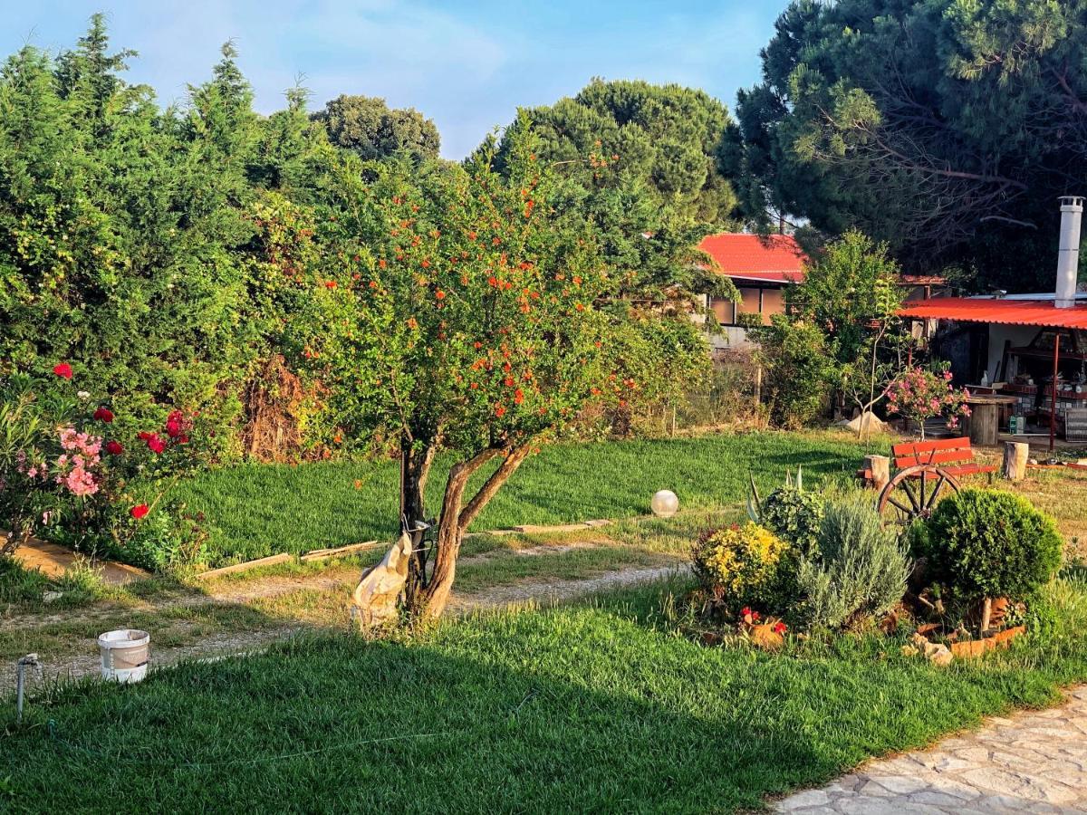 Ivonnis Garden Villa Mesimvria  Kültér fotó