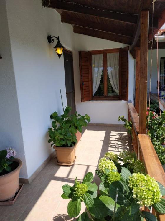 Ivonnis Garden Villa Mesimvria  Kültér fotó