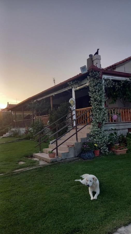 Ivonnis Garden Villa Mesimvria  Kültér fotó
