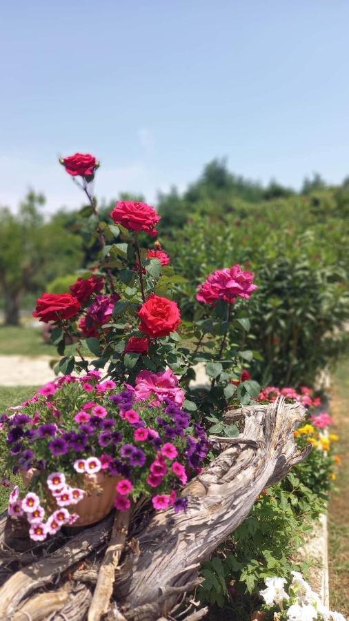 Ivonnis Garden Villa Mesimvria  Kültér fotó