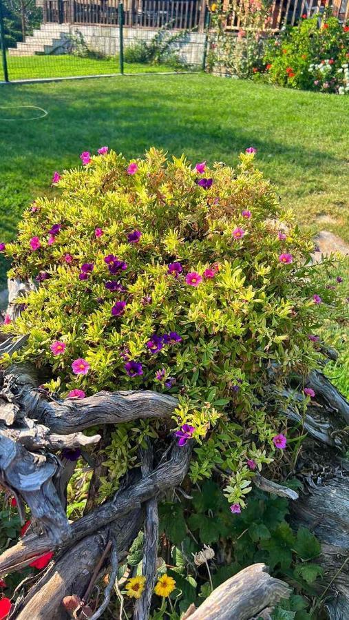 Ivonnis Garden Villa Mesimvria  Kültér fotó
