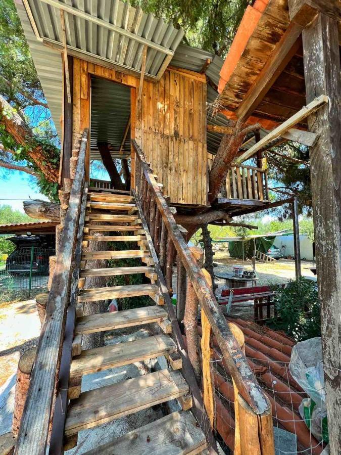 Ivonnis Garden Villa Mesimvria  Kültér fotó