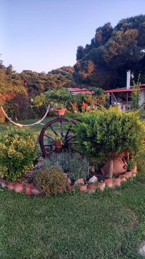 Ivonnis Garden Villa Mesimvria  Kültér fotó