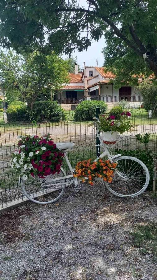 Ivonnis Garden Villa Mesimvria  Kültér fotó